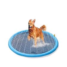 Peteast | Pileta para perros